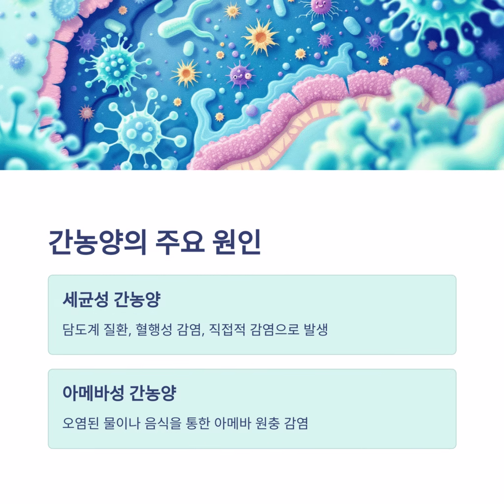 간농양